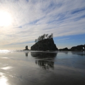 Olympic NP 14